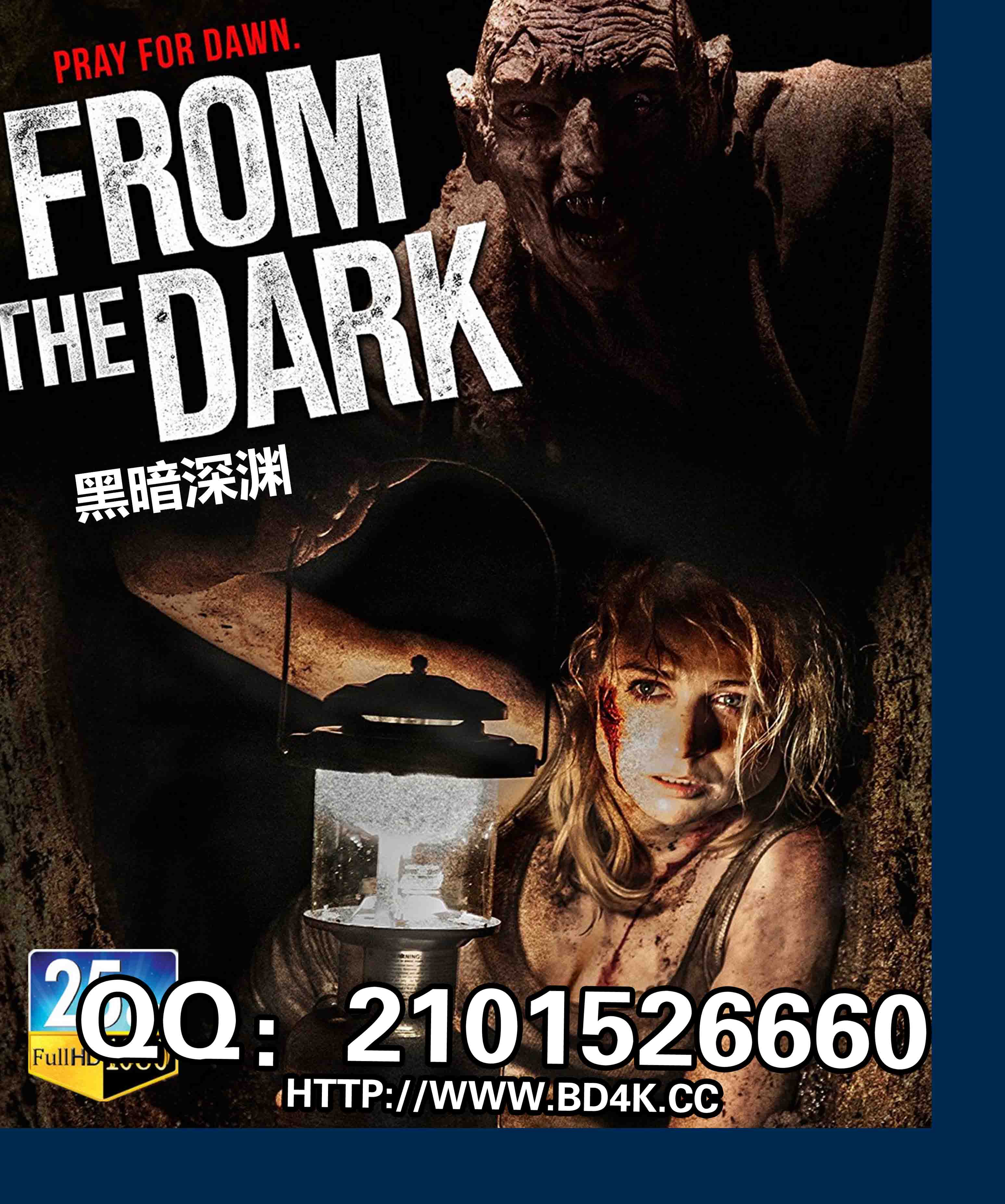 黑暗深渊/来自黑暗 from the dark (2014)